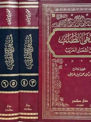 منتهى الطلب من أشعار العرب | 5 مجلدات | محمد بن المبارك بن ميمون البغدادي | دار صادر