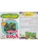 سلسلة قصص القرآن (10 قصص) - د. محمد علي - دار المبدع الصغير سلسلة قصص القرآن (10 قصص) - د. محمد علي - دار المبدع الصغير