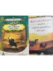 سلسلة من روائع قصص نبي الرحمة (6 قصص) - د. محمد علي - دار المبدع الصغير