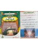 سلسلة من روائع قصص نبي الرحمة (6 قصص) - د. محمد علي - دار المبدع الصغير