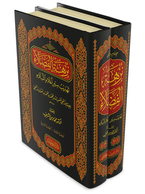 نزهة الفضلاء تهذيب سير أعلام النبلاء مجلدين نزهة الفضلاء تهذيب سير أعلام النبلاء مجلدين
