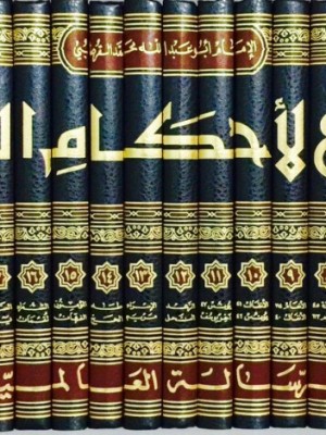 تفسير القرطبي: الجامع لأحكام القرآن 24 مجلد