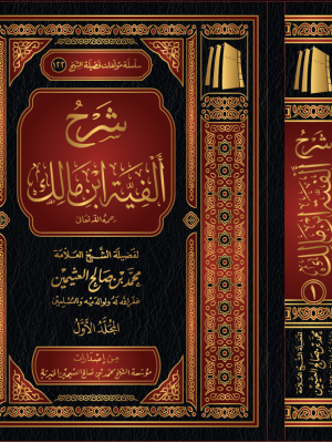 شرح ألفية ابن مالك 3 مجلدات شرح ألفية ابن مالك 3 مجلدات