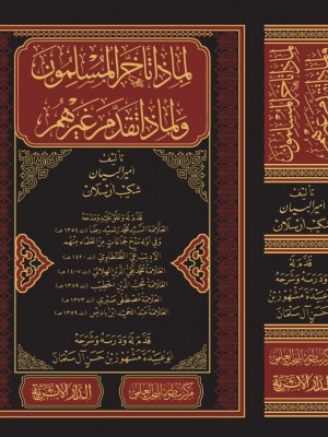 لماذا تأخر المسلمون ولماذا تقدم غيرهم؟